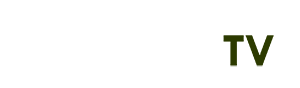 vila hội an